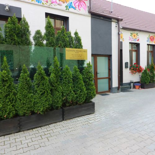 Flowers House Sibiu – Sibiu, România