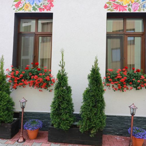 Flowers House Sibiu – Sibiu, România