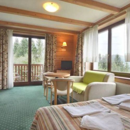 Willa Panorama  SPA Medical Ustroń – Ustroň, Polsko
