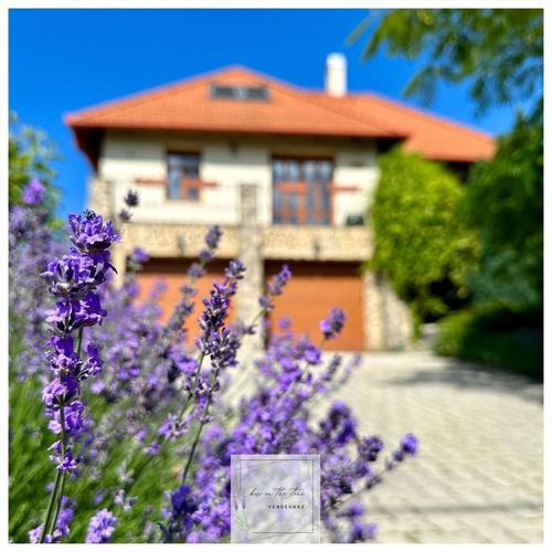 kiss on the stone Vendégház Csókakő