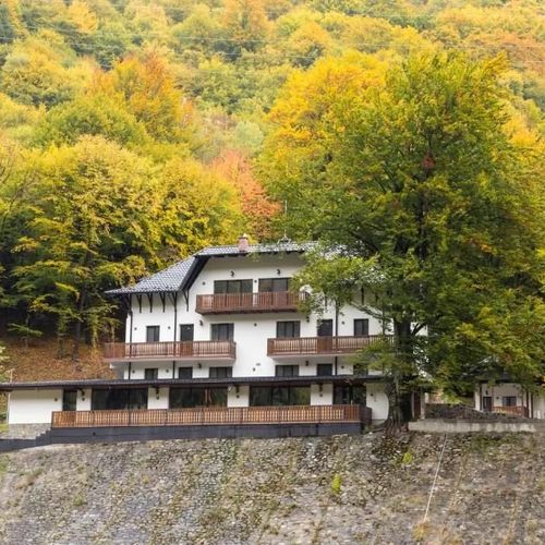 Pensiunea Poiana Mucenicului Arefu