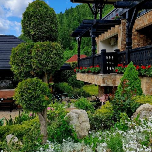 Pensiunea Perla Rarăului Pojorâta