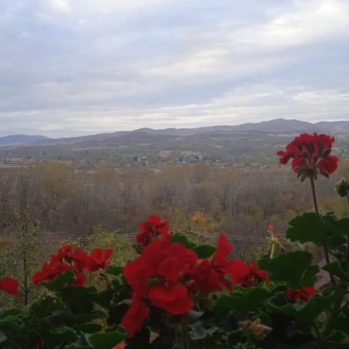 Pensiunea Agroturistică Diana Măgura – Măgura, România