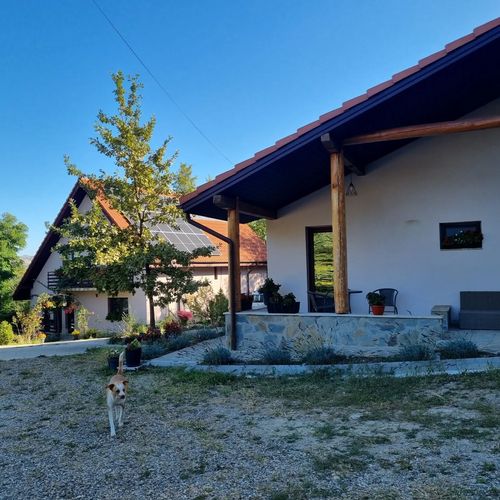 Pensiunea Agroturistică Diana Măgura