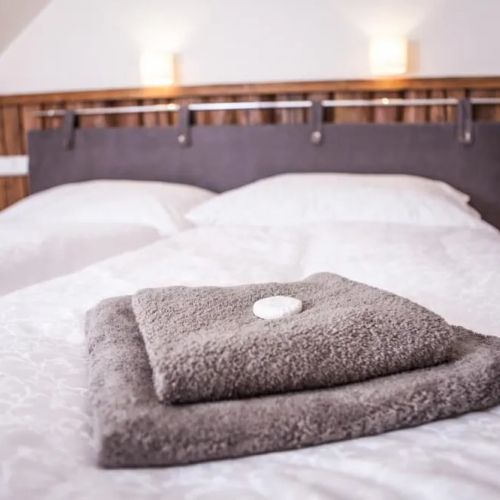 Hotel Líšeňský Dvůr Líšná – Líšná, Česká republika