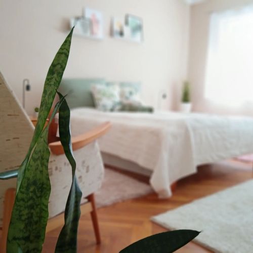 Tulipán Apartman Békéscsaba