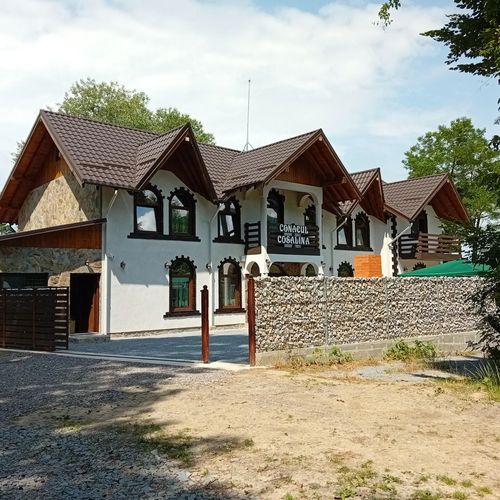 Pensiunea Conacul Cosalina Sovata