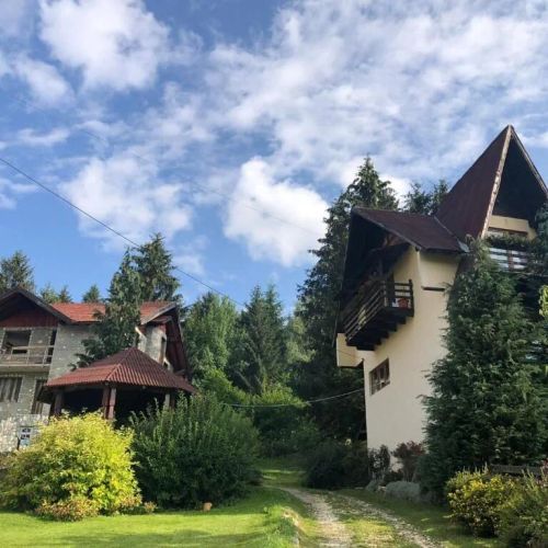 Villa Rareș Borșa