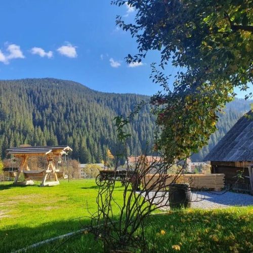 Casa de vacanță La Țărani Iacobeni