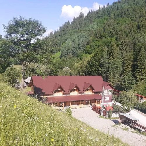 Camere de Închiriat Vânătorul Dămuc