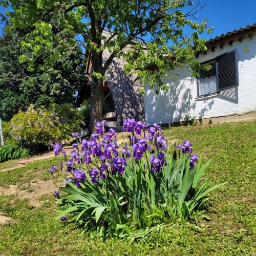 ApróLak Apartman Zalakaros – Zalakaros, Maďarsko