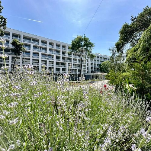 Hotel Semiramis Saturn