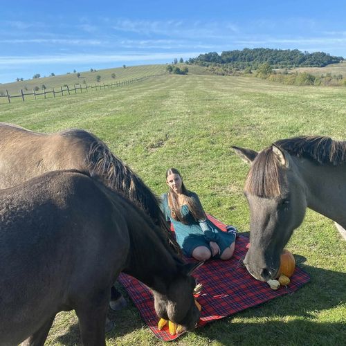 Keleméri Trófeás Vendégház