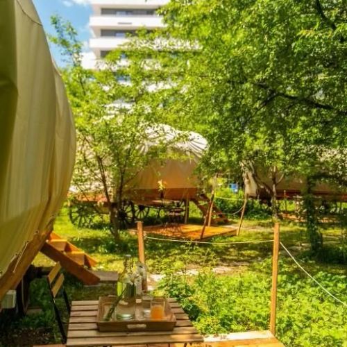 Dragonfly Gardens - The Wagons Brașov