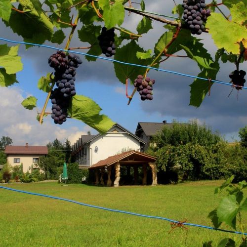 Gospodarstwo Gościnne Kamieniec Węgierska Górka II – Węgierska Górka, Polska
