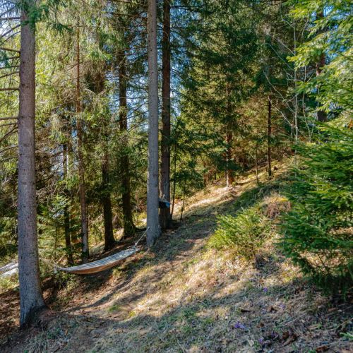 Casă de vacanță Perla Lacului Râşca – Râşca, România