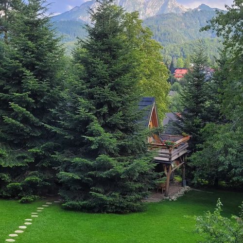 Domek Szałas Frankówka Kościelisko