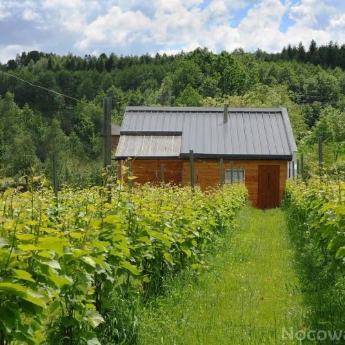 Agroturystyka i Winnica Granice Zgłobień, Rzeszów