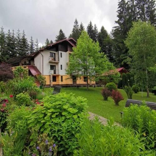 Pensiunea Lu' Movila Durău