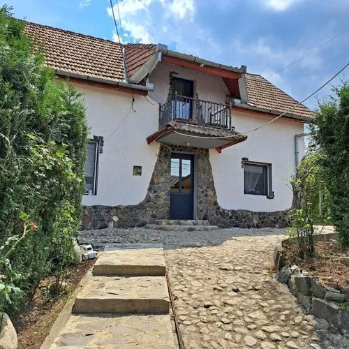 Villa Luiza Șura Mare