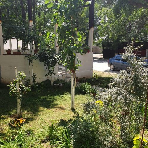 Pensiunea Pongal Eforie Sud – Eforie Sud, Rumunsko