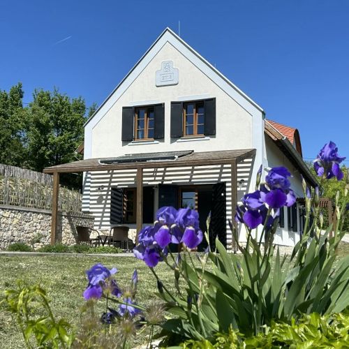 Borbora Borház Villa Vászoly – Vászoly, Ungaria