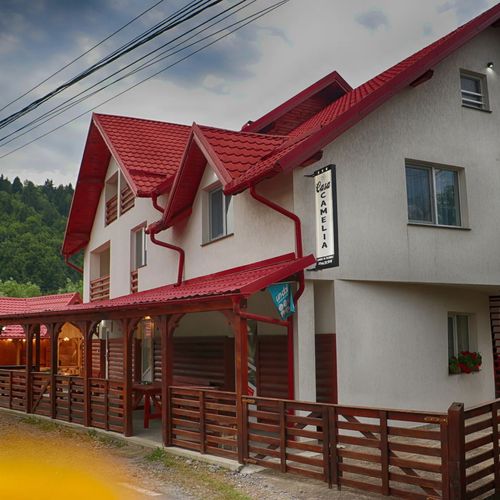 Casa Camelia Săcel