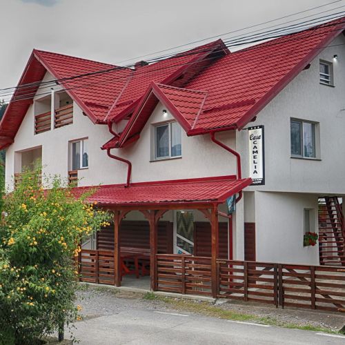 Casa Camelia Săcel – Săcel, România