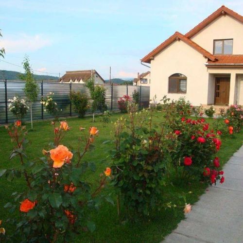Casa Daria Haţeg – Haţeg, România