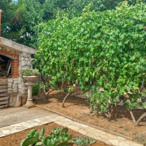 Apartman Nin - CDI852 – Nin, Croația