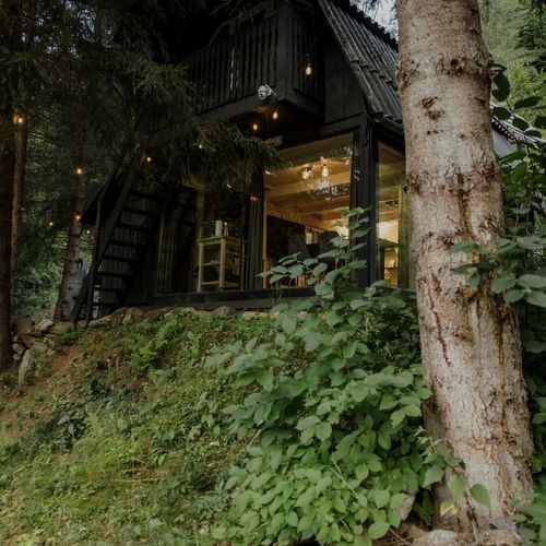 Casa de vacanță Sturzul Negru Munteni