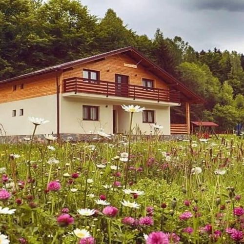 Pensiunea Agroturistică Floare de Colț Moisei