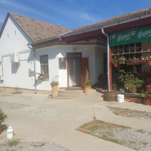 Hörpintő Üdülőház Nagypeterd – Nagypeterd, Ungaria