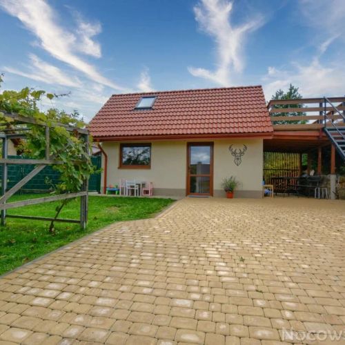 Bieszczadzki Jeleń Ustrzyki Dolne