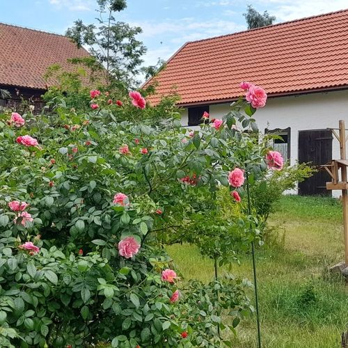 Apartament Ostoja Kamionki