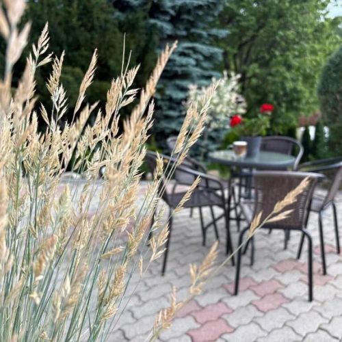 Apartament Carpe Diem Duszniki-Zdrój – Duszniki-Zdrój, Polsko