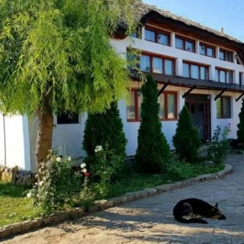 Casa cu Flori Murighiol
