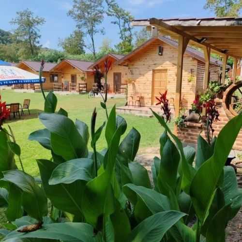 Camping Thobias Boşorod – Boşorod, România