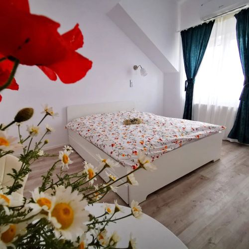 Vila La Matraguna Comuna Tuzla