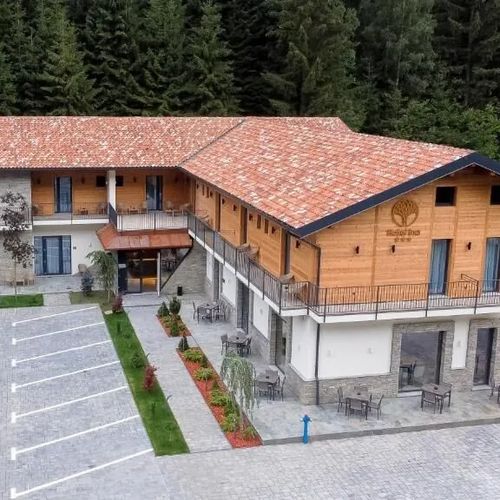Hotel Ina Borșa