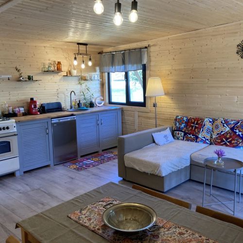 Cabana Nori Albi Bran – Tohanu Nou, România