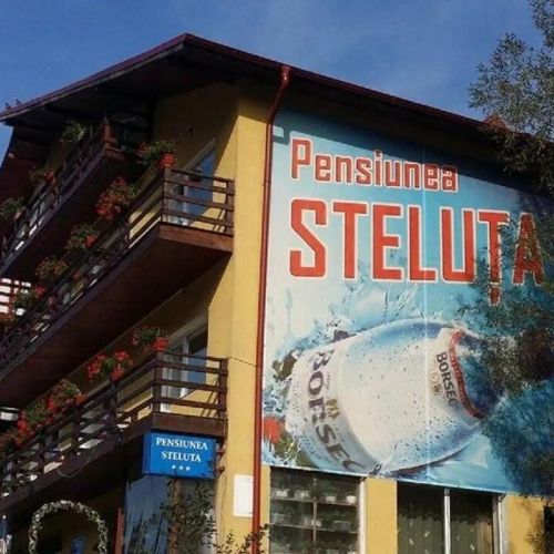Pensiunea Steluța Predeal