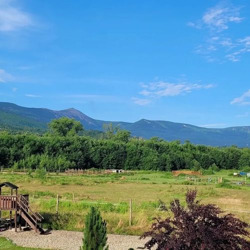 Apartamenty Malinówka pod Śnieżką Kowary