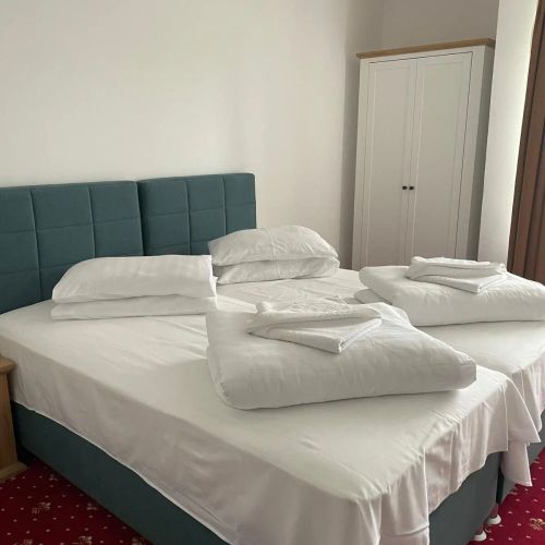 Hotel Silvana Buziaș