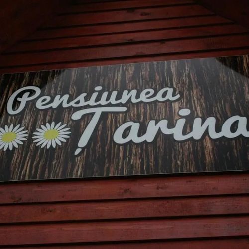  Pensiunea Țarina Șuncuiuș