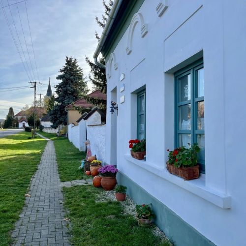 Öregfenyő Tornácosház Bakonykoppány – Bakonykoppány, Ungaria