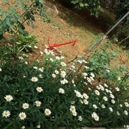 Apartments Ruzica Jezera – Jezera, Chorwacja