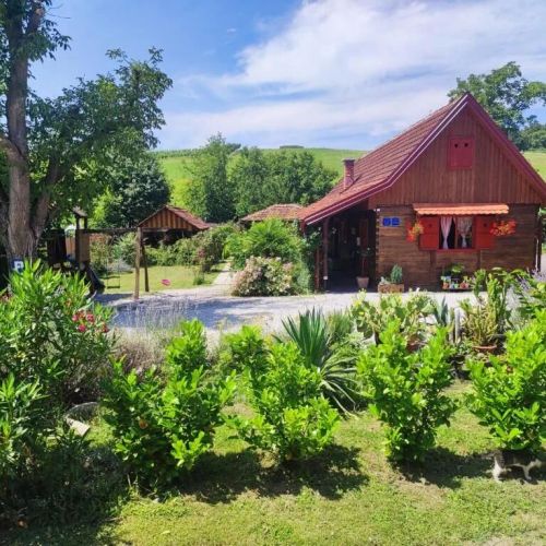 Apartments And Rooms With A Swimming Pool Krapina, Zagorje - 20524 Krapina – Krapina, Chorwacja