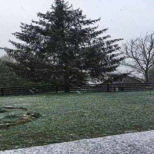 Cabana Ferma Grozea Abrud – Abrud, România