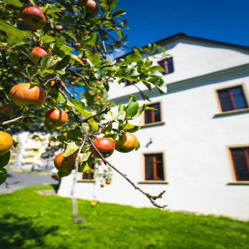 Penzion U Křížové Cesty – Ruda, Republica Cehă